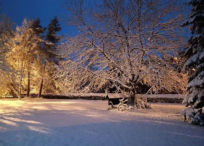 In Blankenheim With Wi-fi 度假居 *