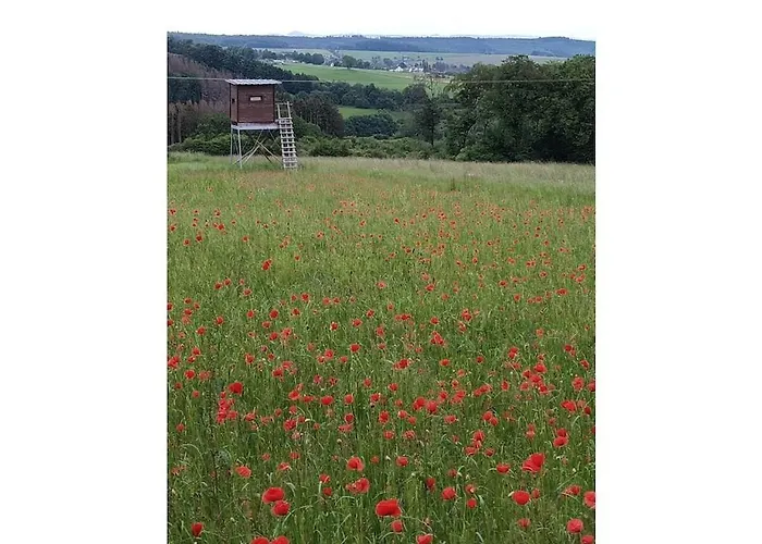 度假居 In Blankenheim With Wi-fi